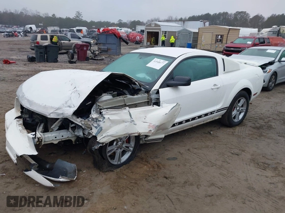 2005 Ford Mustang Deluxe with VIN 1ZVFT80N455211561, listed as a IAAI auction lot 41548177 with Not Provided miles. Bid and sale history available at carsss.com. Image 16.