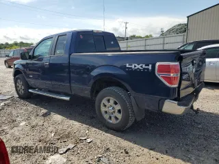 2011 Ford F-150 XL with VIN 1FTFX1ET5BFC44919, listed as a Copart auction lot 58514555 with 166,500 mi miles and Salvage title. Bid and sale history available at DreamBid. Image 2.