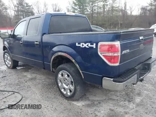 2010 Ford F-150 XL z VIN 1FTFW1EV2AFB75125, wystawiony jako IAAI lot #41835923 z przebiegiem 219 460 mil mil oraz . Historia ofert i sprzedaży dostępna na DreamBid. Obrazek 3.