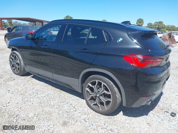 2019 BMW X2 xDrive28i with VIN WBXYJ5C59K5N73654, listed as a IAAI auction lot 41729862 with 66,600 mi miles. Bid and sale history available at carsss.com. Image 3.