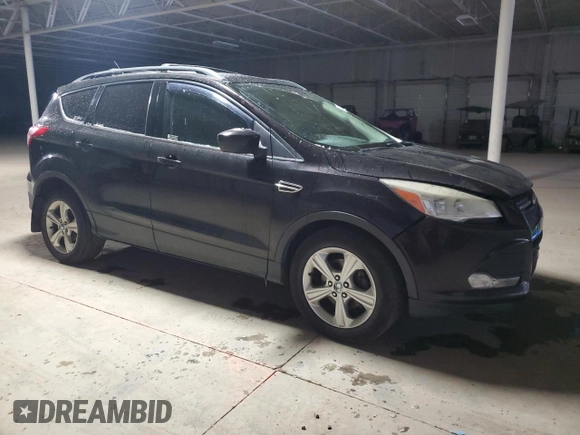 2013 Ford Escape SE with VIN 1FMCU0GXXDUB65505, listed as a Copart auction lot 46140355 with 256,902 mi miles and Salvage title. Bid and sale history available at DreamBid. Image 4.