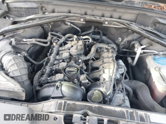 2011 Audi Q5 Premium Plus with VIN WA1LFAFP6BA096830, listed as a IAAI auction lot 42128536 with Not provided miles and . Bid and sale history available at DreamBid. Image 10.