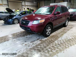 2007 Hyundai Santa Fe GLS with VIN 5NMSG13D27H103441, listed as a IAAI auction lot 42011361 with 246,590 mi miles. Bid and sale history available at carsss.com. Image 2.