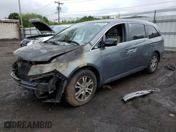 2013 Honda Odyssey EX-L with VIN 5FNRL5H6XDB036239, listed as a Copart auction lot 56377435 with Not provided miles and Salvage title. Bid and sale history available at DreamBid. Image 1.