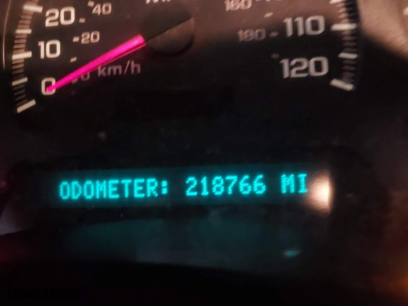 2005 Chevrolet TrailBlazer LT with VIN 1GNDT13SX52357796, listed as a IAAI auction lot 41510963 with 218,766 mi miles. Bid and sale history available at carsss.com. Image 15.