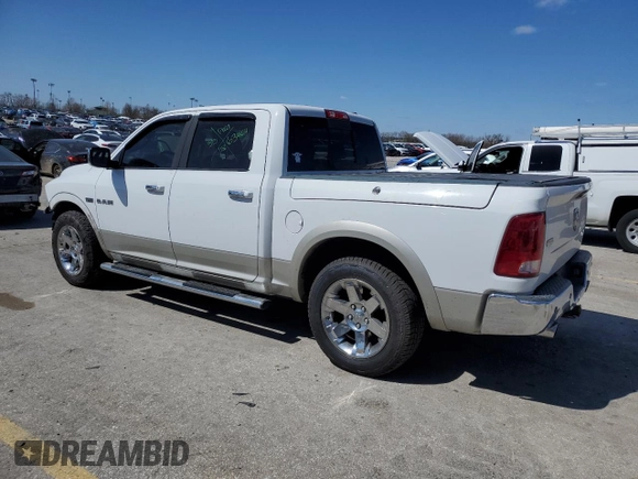 2010 Dodge 1500 SLT с VIN 1D7RB1CT9AS160337, выставлен на аукционе Copart как лот 49986505 с пробегом 198 052 миль миль и Списание • Salvage title. История ставок и продаж доступна на DreamBid. Изображение 2.