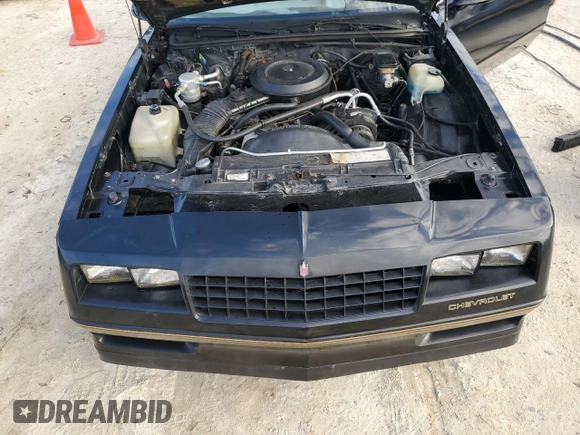 1987 Chevrolet Monte Carlo z VIN 1G1GZ11G0HP115148, wystawiony jako Copart lot #75645874 z przebiegiem 86 744 mil mil oraz Nie do naprawy. Historia ofert i sprzedaży dostępna na DreamBid. Obrazek 11.