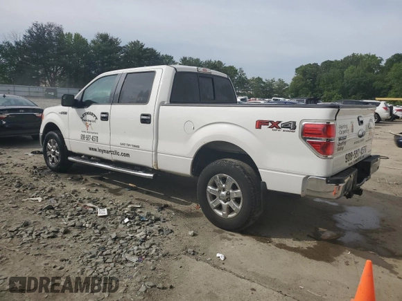 2013 Ford F-150 XL with VIN 1FTFW1EF9DKE66144, listed as a Copart auction lot 58134795 with 150,726 mi miles and Salvage title. Bid and sale history available at DreamBid. Image 2.