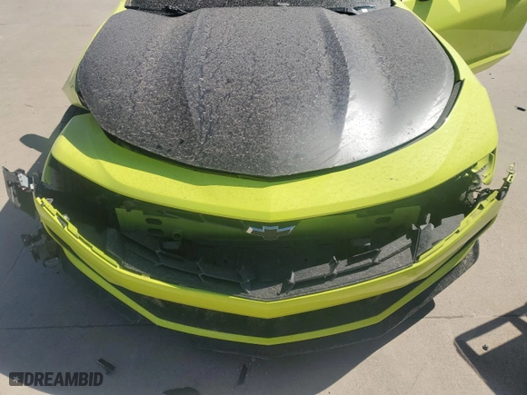 2019 Chevrolet Camaro 1LT with VIN 1G1FA1RS5K0156256, listed as a Copart auction lot 49217325 with 0 mi miles and Salvage Title. Bid and sale history available at carsss.com. Image 11.