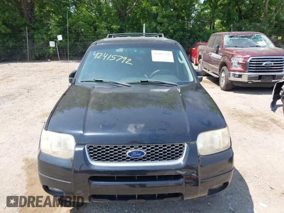 2003 Ford Escape Limited with VIN 1FMCU04113KB81019, listed as a IAAI auction lot 42415792 with 254,698 mi miles and . Bid and sale history available at DreamBid. Image 6.