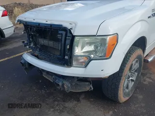 2014 Ford F-150 XL with VIN 1FTEX1CM5EFC95493, listed as a IAAI auction lot 41180683 with 150,260 mi miles and . Bid and sale history available at DreamBid. Image 10.