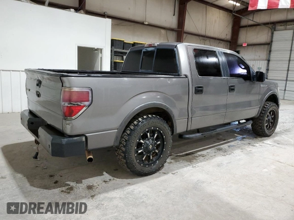 2010 Ford F-150 XL with VIN 1FTFW1EV5AFA74662, listed as a Copart auction lot 48384295 with 234,570 mi miles and Clean Title. Bid and sale history available at carsss.com. Image 3.