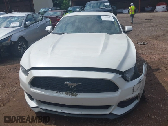 2017 Ford Mustang V6 z VIN 1FA6P8AM7H5219578, wystawiony jako IAAI lot #42611202 z przebiegiem 95 099 mil mil oraz . Historia ofert i sprzedaży dostępna na DreamBid. Obrazek 12.