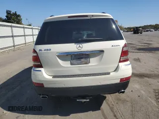 2009 Mercedes-Benz GL-Class 4.6L with VIN 4JGBF71E59A519316, listed as a Copart auction lot 75270484 with 218,118 mi miles and Salvage Title. Bid and sale history available at carsss.com. Image 6.