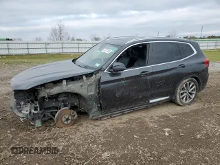2019 BMW X3 sDrive30i with VIN 5UXTR7C51KLR46420, listed as a Copart auction lot 45377035 with 114,191 mi miles and Salvage Title. Bid and sale history available at carsss.com. Image 1.