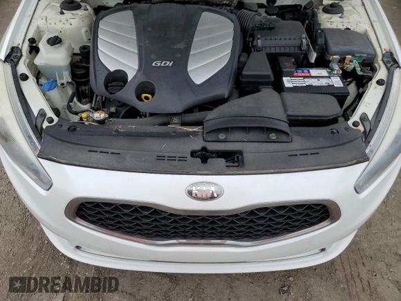 2014 Kia Cadenza Premium with VIN KNALN4D77E5145038, listed as a Copart auction lot 75134194 with 0 mi miles and Salvage Title. Bid and sale history available at carsss.com. Image 11.