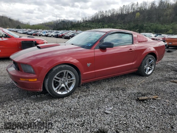 2009 Ford Mustang GT with VIN 1ZVHT82H595119834, listed as a Copart auction lot 52068725 with 96,697 mi miles and Salvage title. Bid and sale history available at DreamBid. Image 1.