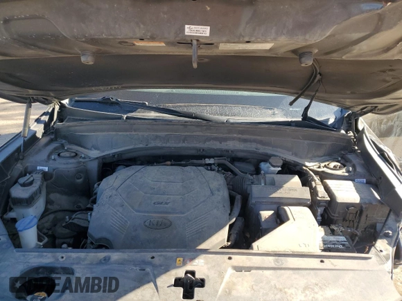 2020 Kia Telluride EX with VIN 5XYP34HC2LG003198, listed as a Copart auction lot 57534885 with Not provided miles and Salvage title. Bid and sale history available at DreamBid. Image 12.