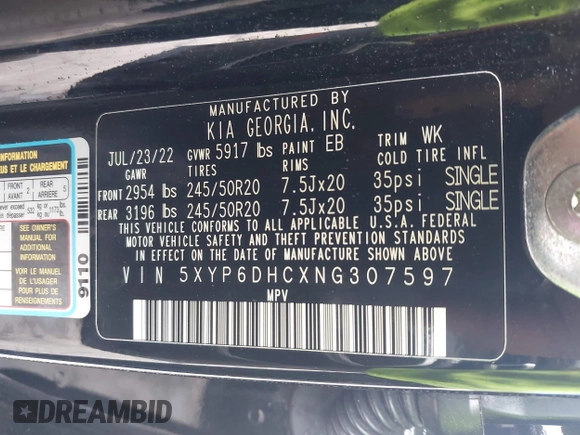 2022 Kia Telluride S with VIN 5XYP6DHCXNG307597, listed as a IAAI auction lot 42443135 with 46,356 mi miles and . Bid and sale history available at DreamBid. Image 9.