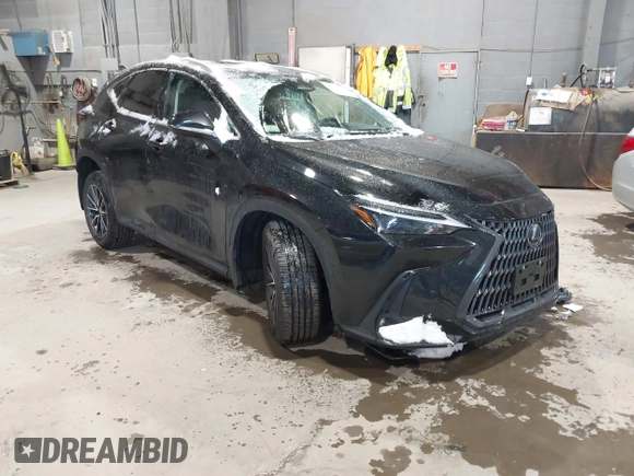 2024 Lexus NX with VIN 2T2AGCEZ5RC053557, listed as a IAAI auction lot 41340693 with 17,026 mi miles. Bid and sale history available at carsss.com. Image 1.
