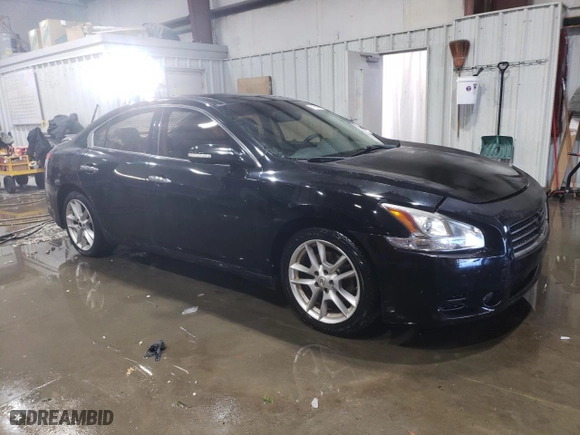2010 Nissan Maxima 3.5 SV w/Sport Pkg with VIN 1N4AA5AP4AC875081, listed as a Copart auction lot 87683685 with 206,724 mi miles and Salvage Title. Bid and sale history available at carsss.com. Image 4.