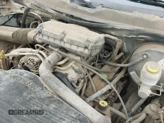 1999 Dodge 1500 with VIN 3B7HF13Z4XG180008, listed as a IAAI auction lot 42200019 with 216,117 mi miles and . Bid and sale history available at DreamBid. Image 19.