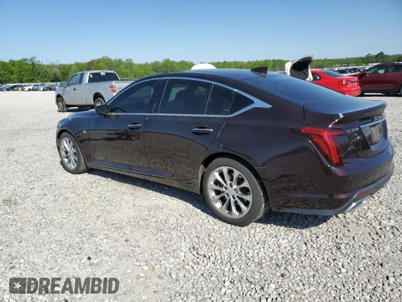 2020 Cadillac CT5 Premium Luxury with VIN 1G6DN5RK6L0151968, listed as a Copart auction lot 53189655 with 42,781 mi miles and Salvage title. Bid and sale history available at DreamBid. Image 2.