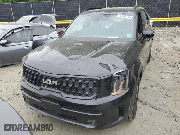 2024 Kia Telluride SX X-Line with VIN 5XYP5DGC1RG494352, listed as a Copart auction lot 58260515 with 25,538 mi miles and Salvage title. Bid and sale history available at DreamBid. Image 5.