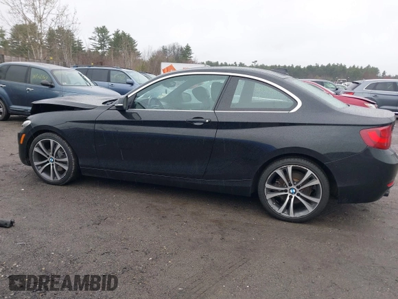 2016 BMW 2 Series 228i xDrive with VIN WBA1G9C59GV726011, listed as a IAAI auction lot 41966646 with 122,487 mi miles and . Bid and sale history available at DreamBid. Image 14.