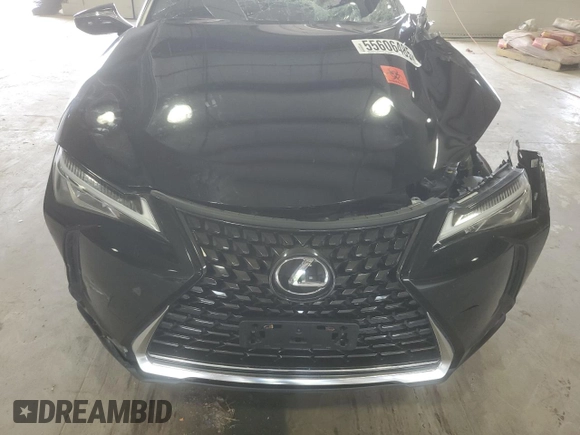 2022 Lexus UX 200 with VIN JTHX3JBH2N2050696, listed as a Copart auction lot 55606485 with 52,661 mi miles and Salvage title. Bid and sale history available at DreamBid. Image 12.
