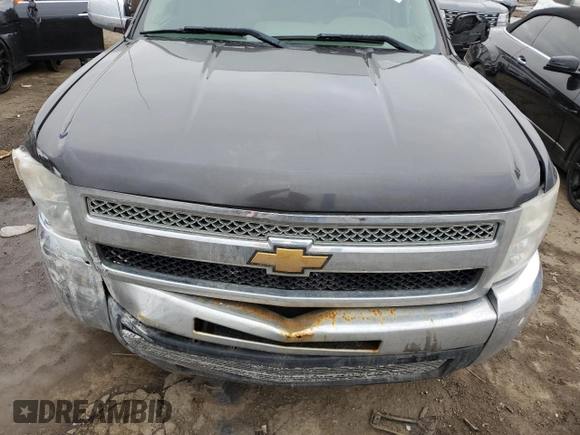 2011 Chevrolet Silverado 1500 Work Truck with VIN 1GCRCPEXXBZ275046, listed as a Copart auction lot 43622585 with 164,099 mi miles and Clean Title. Bid and sale history available at DreamBid. Image 11.