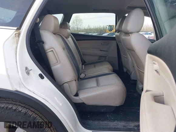 2009 Mazda CX-9 Touring with VIN JM3TB38V690174636, listed as a IAAI auction lot 42038133 with 181,947 mi miles. Bid and sale history available at carsss.com. Image 8.