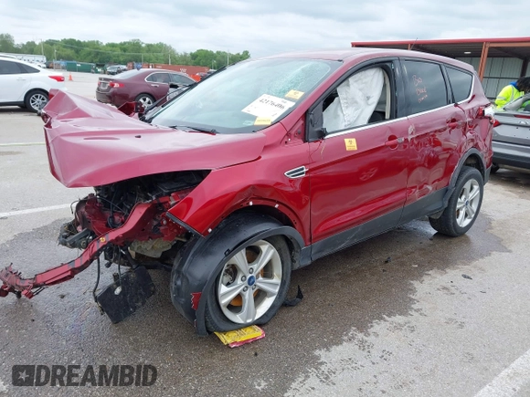 2013 Ford Escape SE with VIN 1FMCU9GX1DUD17613, listed as a IAAI auction lot 42176406 with Not provided miles and . Bid and sale history available at DreamBid. Image 2.