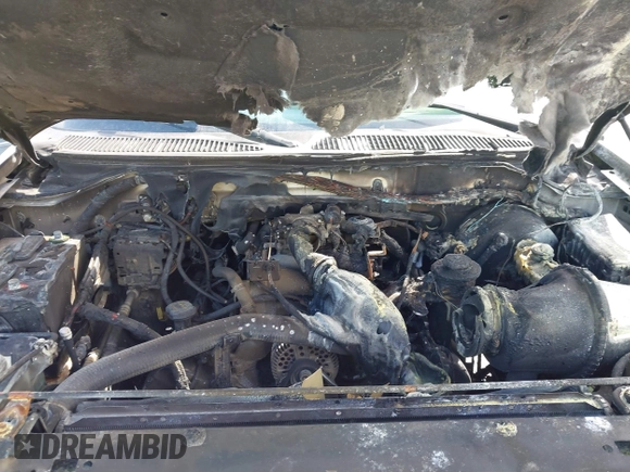 2002 Ford F-150 with VIN 3FTRF17W52MA22243, listed as a IAAI auction lot 42533158 with Not provided miles and . Bid and sale history available at DreamBid. Image 6.