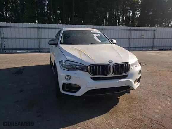 2015 BMW X6 xDrive50i with VIN 5UXKU6C56F0R33500, listed as a Copart auction lot 53286955 with 0 mi miles and Clean Title. Bid and sale history available at carsss.com. Image 14.