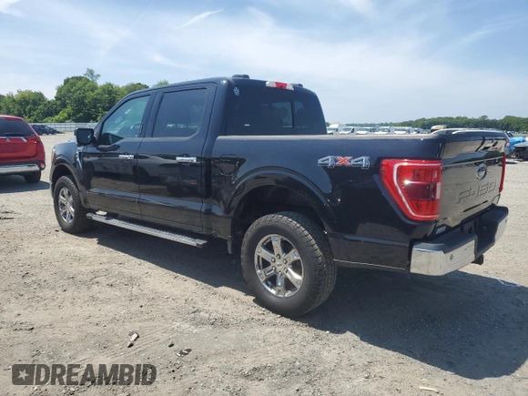 2021 Ford F-150 XL with VIN 1FTFW1E54MKD43407, listed as a Copart auction lot 59912375 with 80,087 mi miles and Salvage title. Bid and sale history available at DreamBid. Image 2.