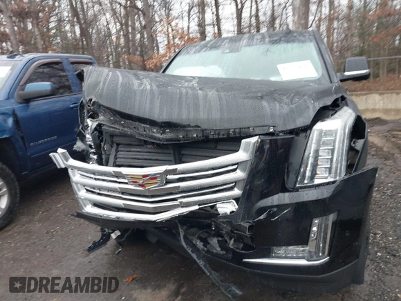 2018 Cadillac Escalade ESV Platinum z VIN 1GYS4KKJ4JR344128, wystawiony jako IAAI lot #41133274 z przebiegiem 159 941 mil mil oraz . Historia ofert i sprzedaży dostępna na DreamBid. Obrazek 12.