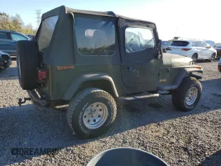 1995 Jeep Wrangler S with VIN 1J4FY19P1SP256905, listed as a Copart auction lot 46057415 with 138,212 mi miles and Salvage Title. Bid and sale history available at carsss.com. Image 3.