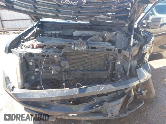 2014 Ford F-150 XL with VIN 1FTFW1CF1EKE20120, listed as a IAAI auction lot 42099294 with 207,198 mi miles and . Bid and sale history available at DreamBid. Image 10.