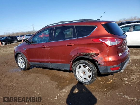 2014 Ford Escape SE with VIN 1FMCU0GXXEUD49389, listed as a Copart auction lot 48774145 with 104,066 mi miles and Salvage Title. Bid and sale history available at carsss.com. Image 2.