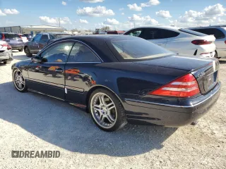 2002 Mercedes-Benz CL AMG with VIN WDBPJ73J02A021435, listed as a Copart auction lot 77801194 with Not Provided miles and Salvage Title. Bid and sale history available at carsss.com. Image 2.