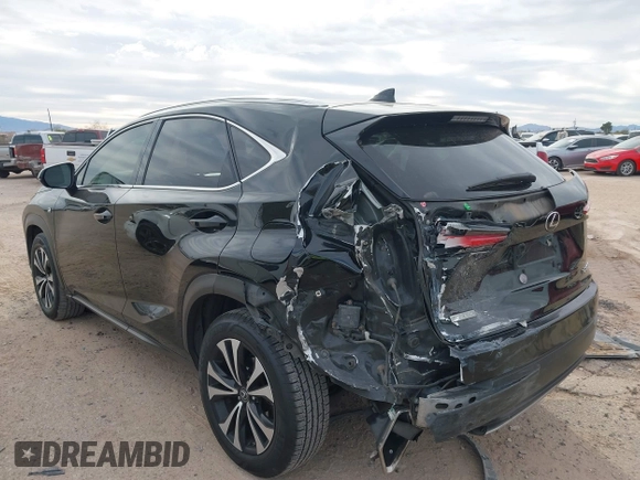 2018 Lexus NX with VIN JTJBARBZ6J2156729, listed as a IAAI auction lot 41578618 with 102,562 mi miles. Bid and sale history available at carsss.com. Image 6.