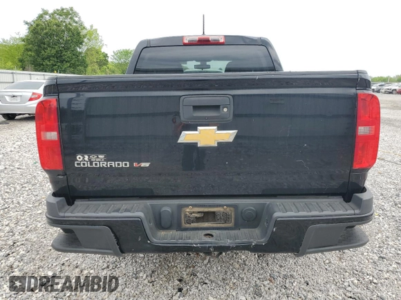 2017 Chevrolet Colorado 4WD WT with VIN 1GCGTBEN0H1314825, listed as a Copart auction lot 54017085 with 171,989 mi miles and Salvage title. Bid and sale history available at DreamBid. Image 6.