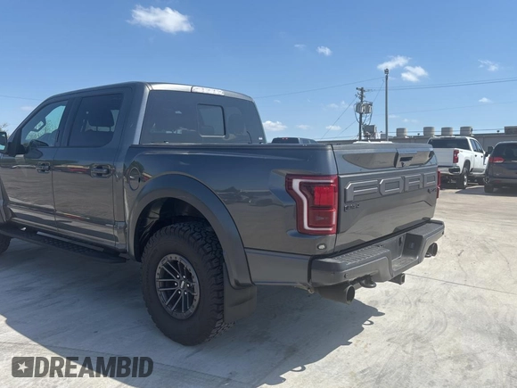 2019 Ford F-150 Raptor with VIN 1FTFW1RG7KFC06785, listed as a Copart auction lot 53731265 with 190,089 mi miles and Clean Title. Bid and sale history available at carsss.com. Image 3.