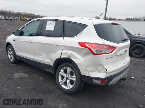2014 Ford Escape SE with VIN 1FMCU9G9XEUA10122, listed as a IAAI auction lot 42025700 with 108,444 mi miles. Bid and sale history available at carsss.com. Image 3.