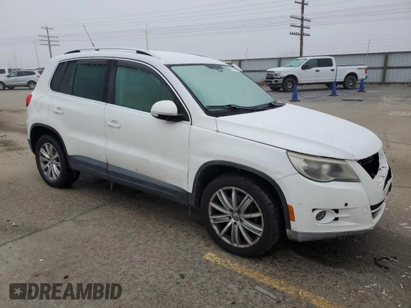 2010 Volkswagen Tiguan SEL with VIN WVGBV7AX8AW530953, listed as a Copart auction lot 81807704 with 146,558 mi miles and Salvage Title. Bid and sale history available at DreamBid. Image 4.