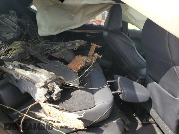 2017 Lexus NX with VIN JTJYARBZ6H2066520, listed as a Copart auction lot 49234295 with 0 mi miles and Salvage Title. Bid and sale history available at carsss.com. Image 12.