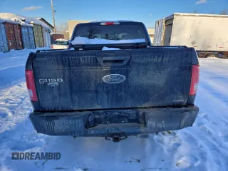 2015 Ford F-150 XLT with VIN 1FTEW1E83FFC62819, listed as a Copart auction lot 88493345 with 295,867 mi miles and Salvage Title. Bid and sale history available at DreamBid. Image 6.