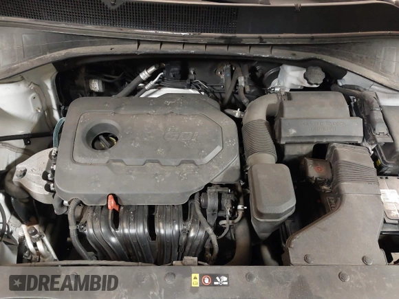 2019 Kia Sorento LX with VIN 5XYPGDA38KG558444, listed as a IAAI auction lot 41303905 with 148,567 mi miles. Bid and sale history available at carsss.com. Image 10.