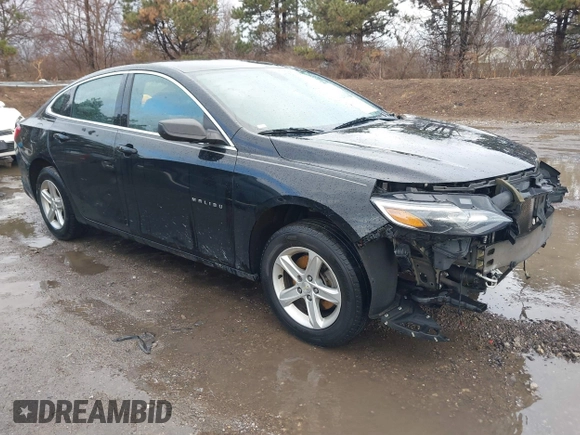 2019 Chevrolet Malibu LS with VIN 1G1ZB5ST7KF131084, listed as a IAAI auction lot 41726724 with 125,388 mi miles and . Bid and sale history available at DreamBid. Image 1.